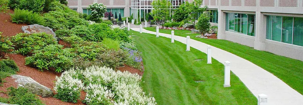 Commercial Landscaping in Dubai
