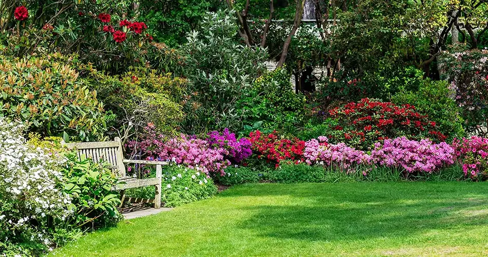 Soft Landscaping: Making Your Garden Come Alive