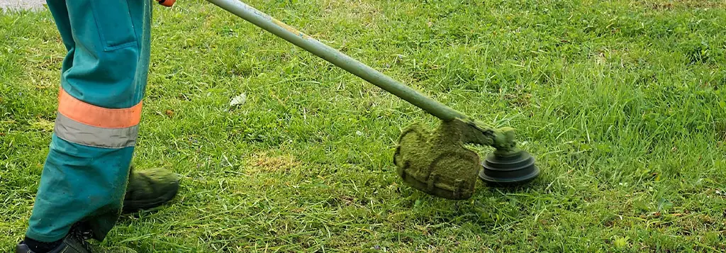 Lawn Mowing and Grass Cutting Services Dubai