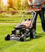 Best Garden Edging and Border Ideas