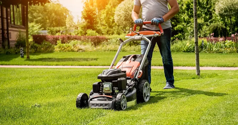 Why Us for Landscaping Service