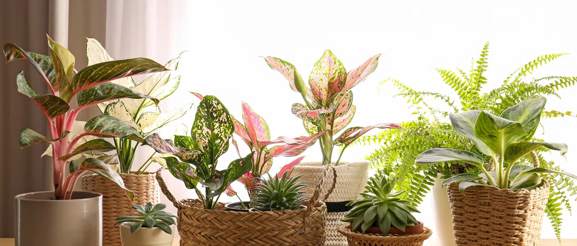 Gardening and landscaping company dubai