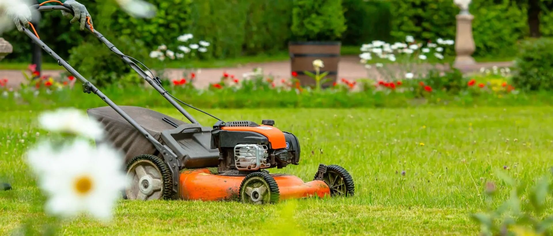 Lawn Mowing and Plants Trimming UAE